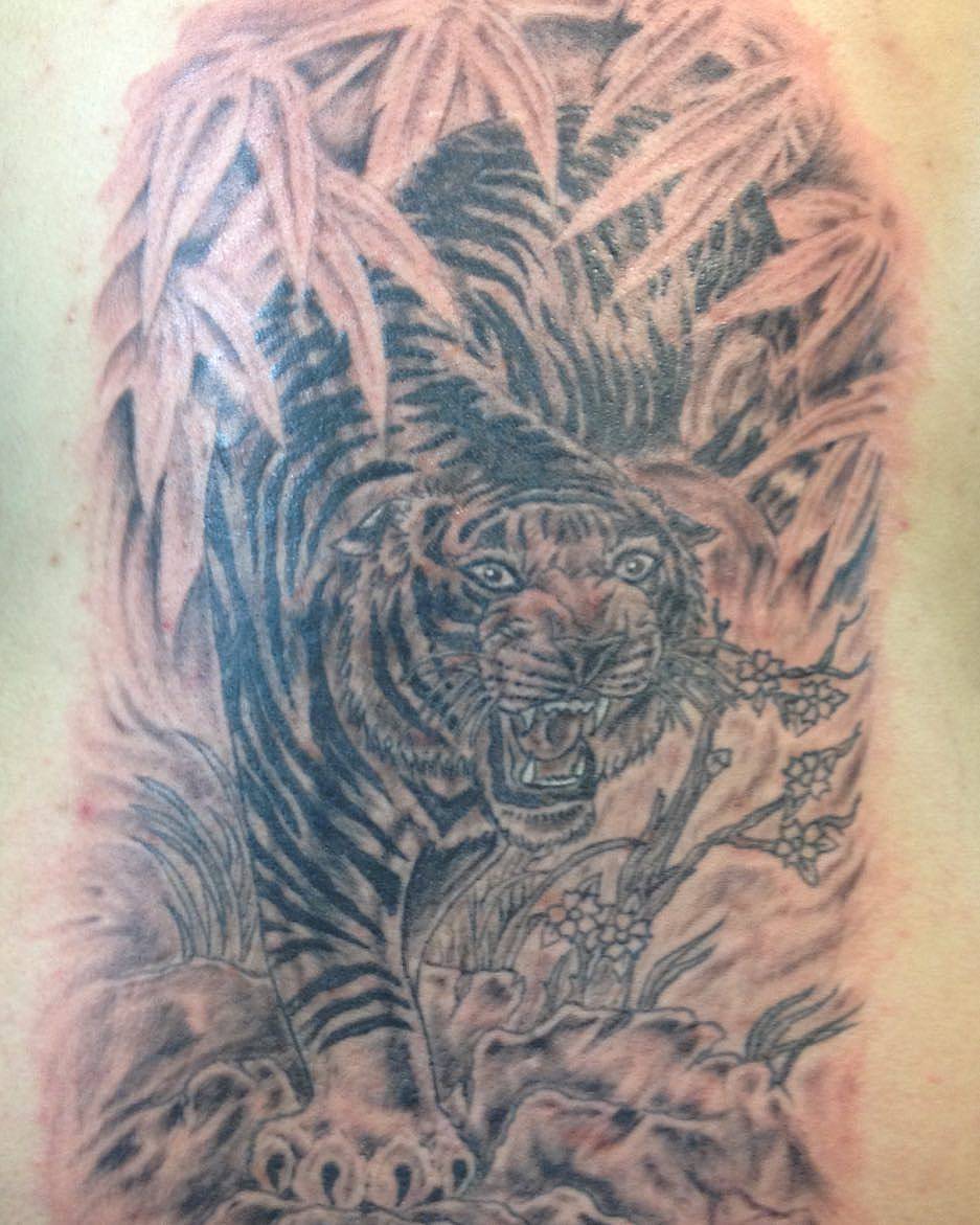 Roaring Tiger in Bamboo