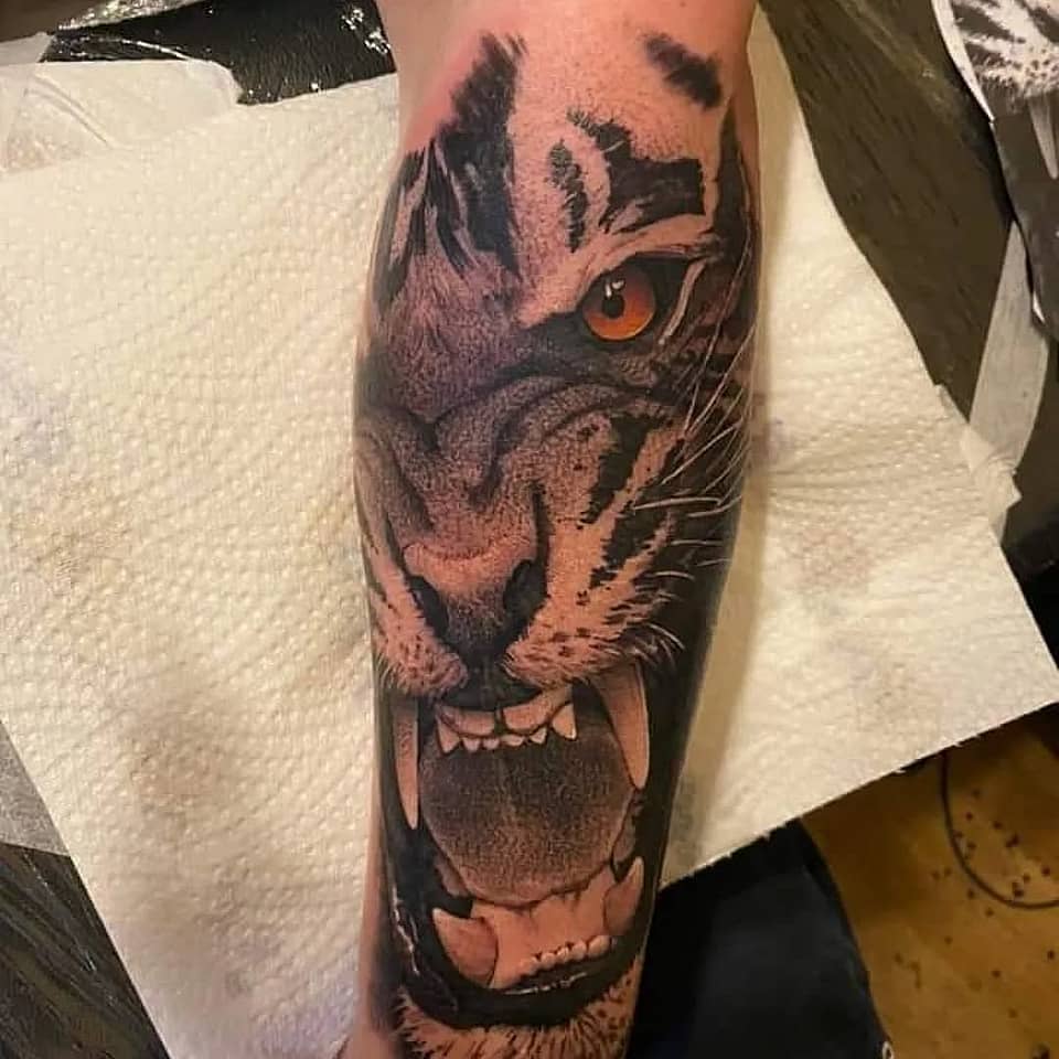 Roaring Tiger Portrait