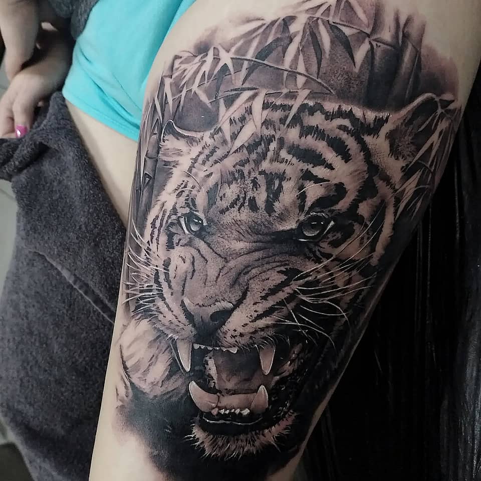 Roaring Tiger Portrait