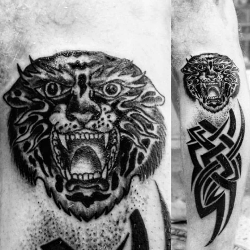 Roaring Tiger with Celtic Knot