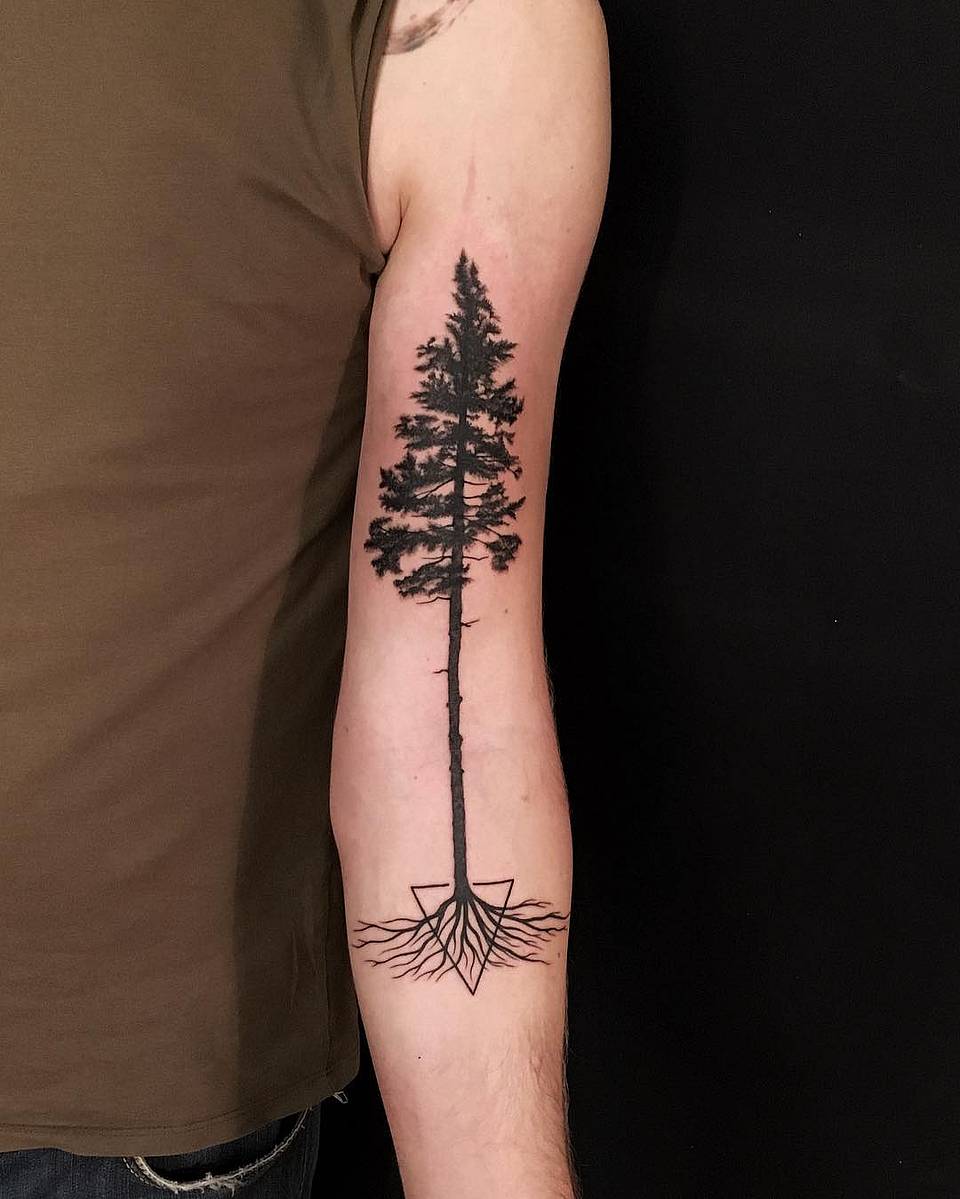 Rooted Pine