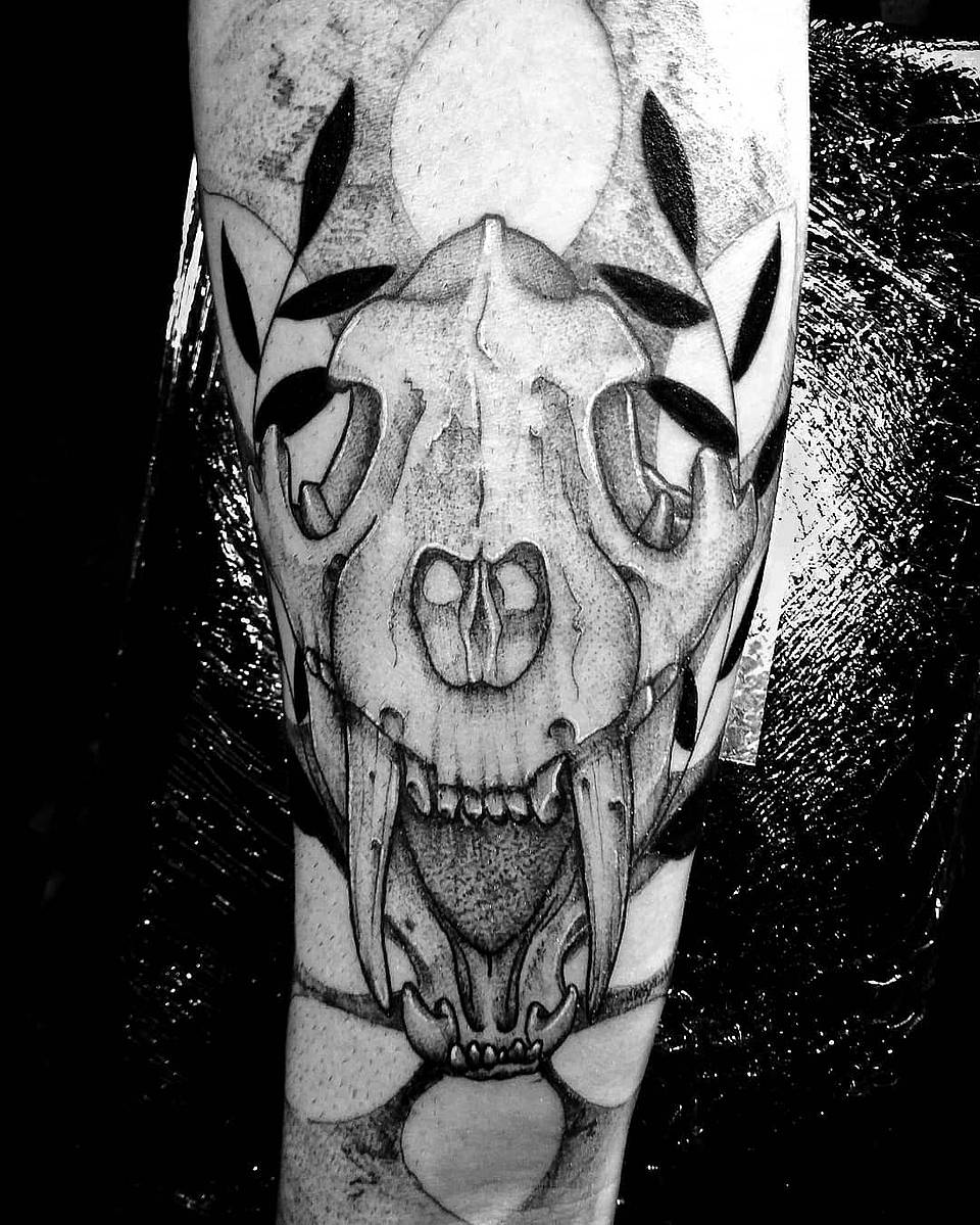 Saber-Tooth Cat Skull with Laurel