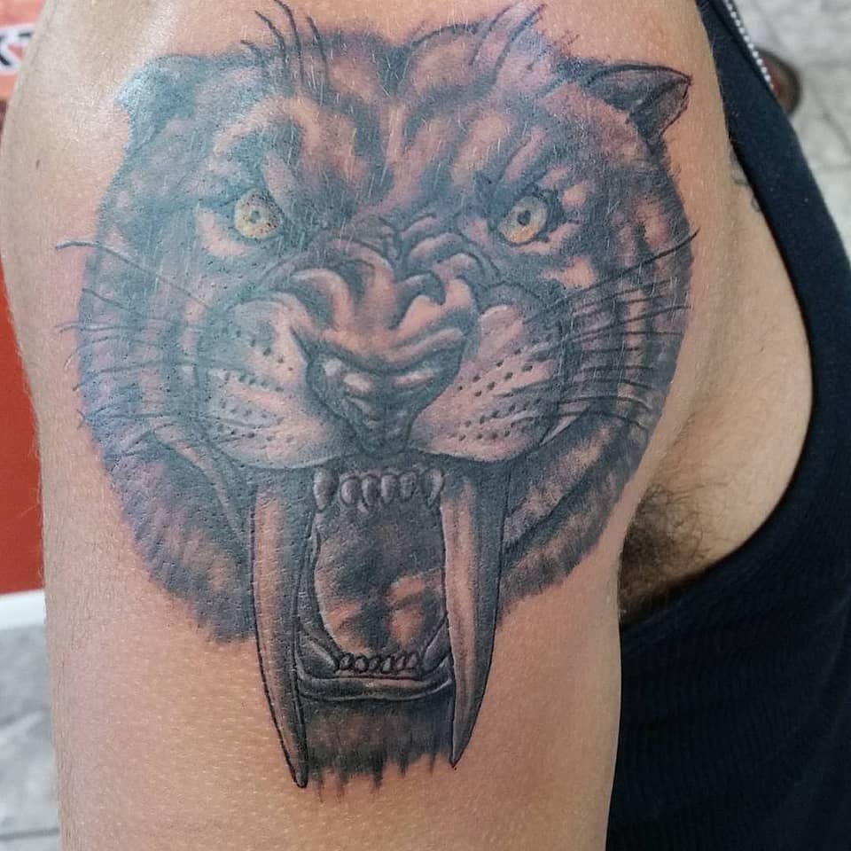 Sabertooth Roar