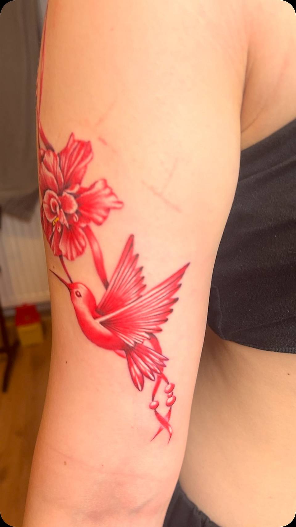 Scarlet Hummingbird and Blossom
