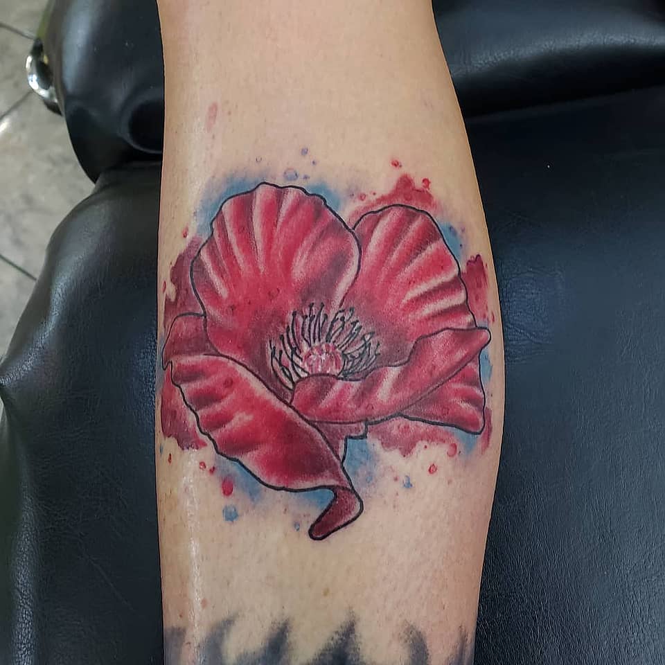 Scarlet Poppy Splash