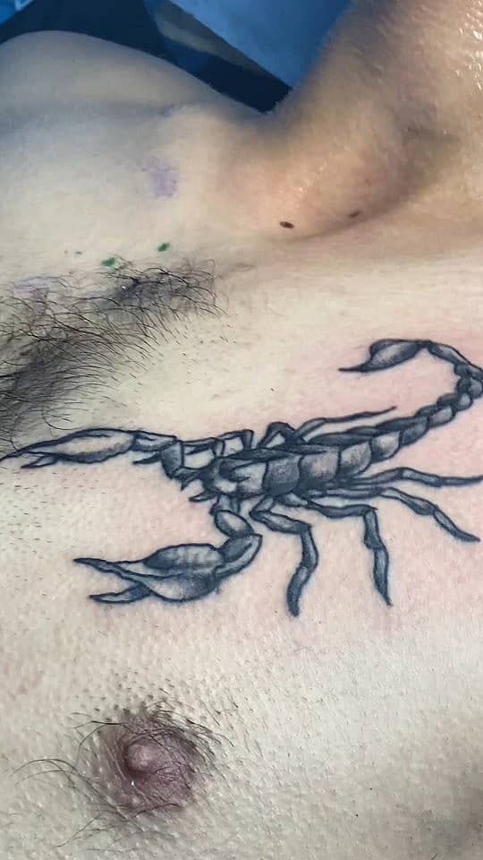 Scorpion Sentinel