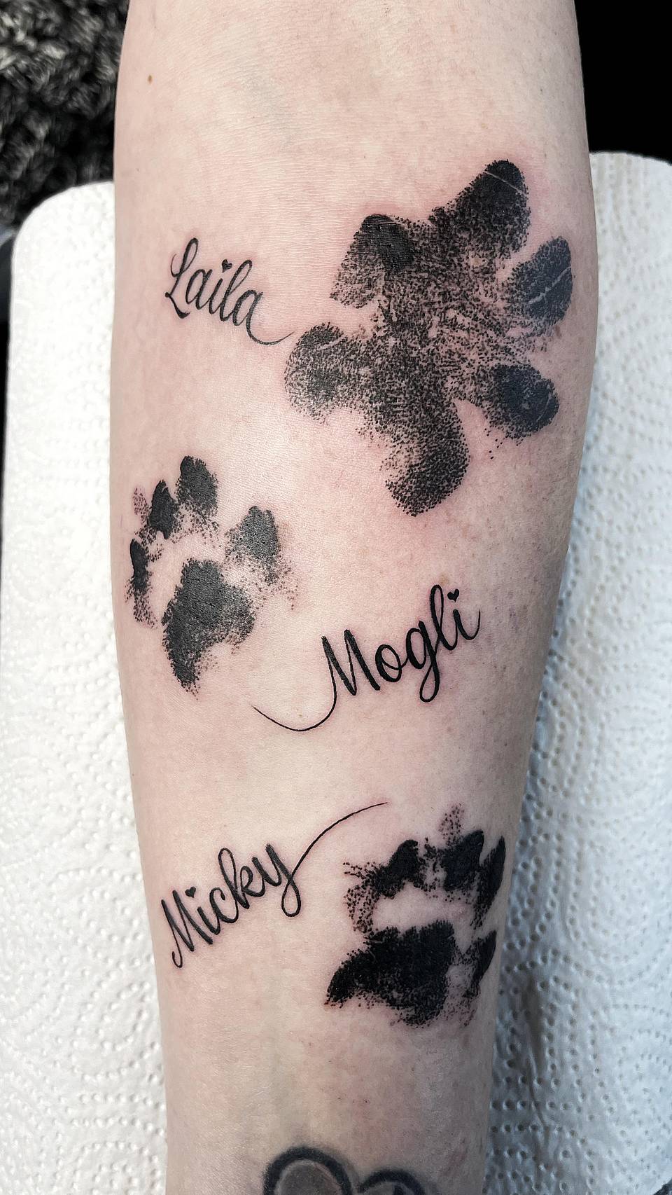 Scripted Paw Print Tribute