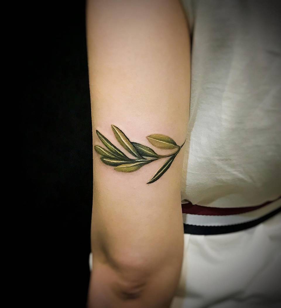 Serene Olive Branch