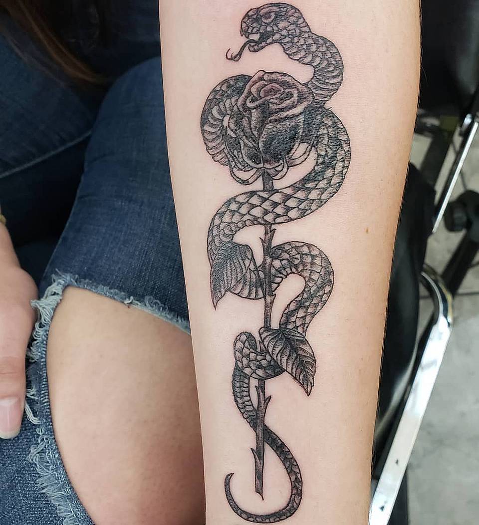 Serpent and Rose Coil