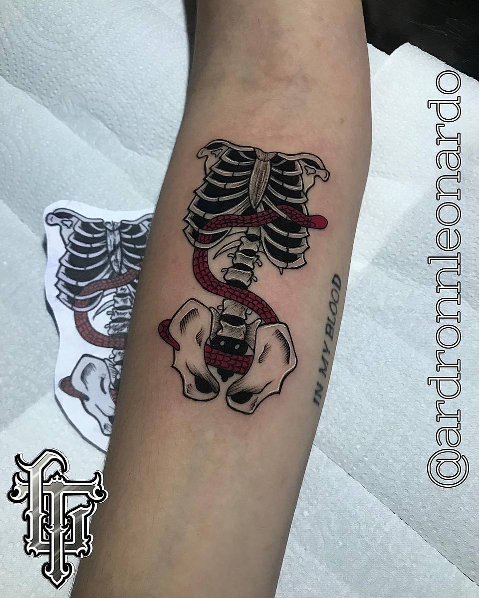 Serpent Through Ribcage and Pelvis