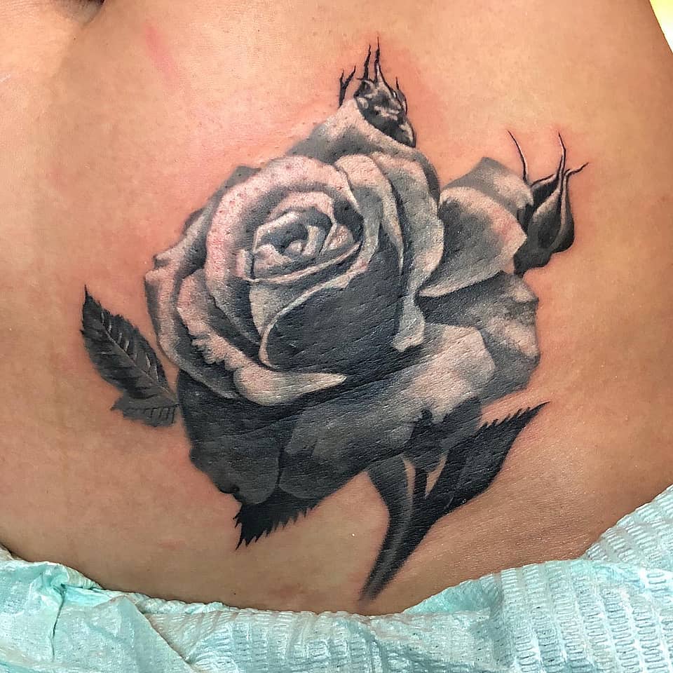 Shaded Black & Grey Rose