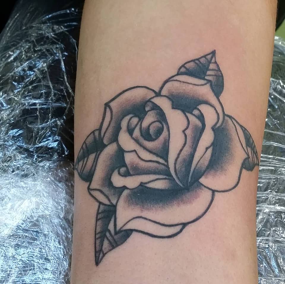 Shaded Rose Bloom