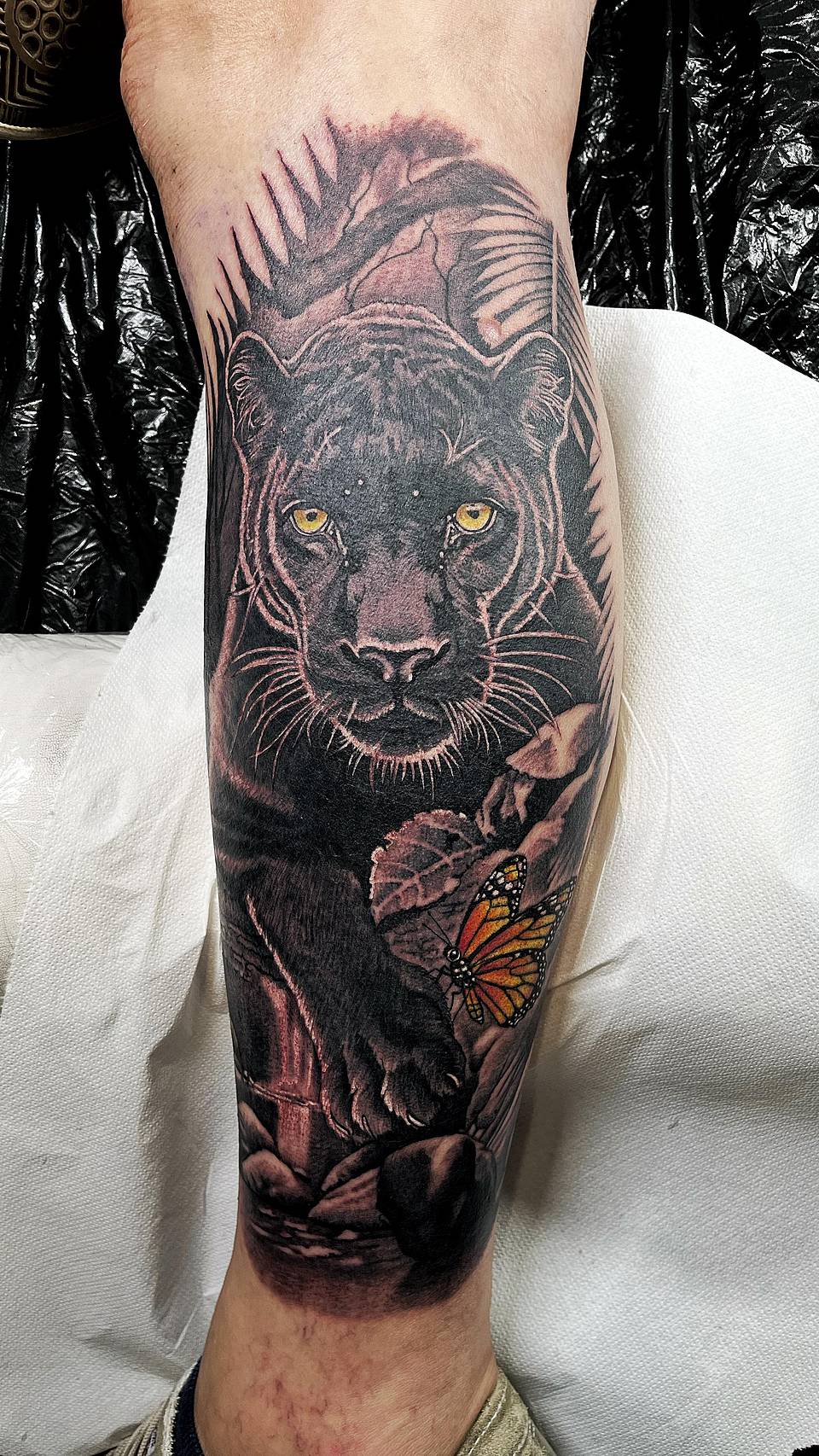 Shadow Panther with Monarch