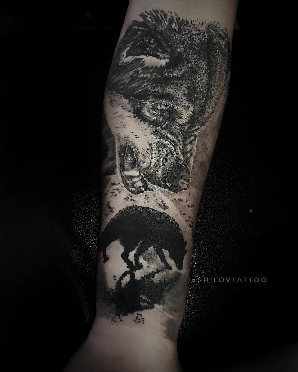 Shadowed Alpha Wolf
