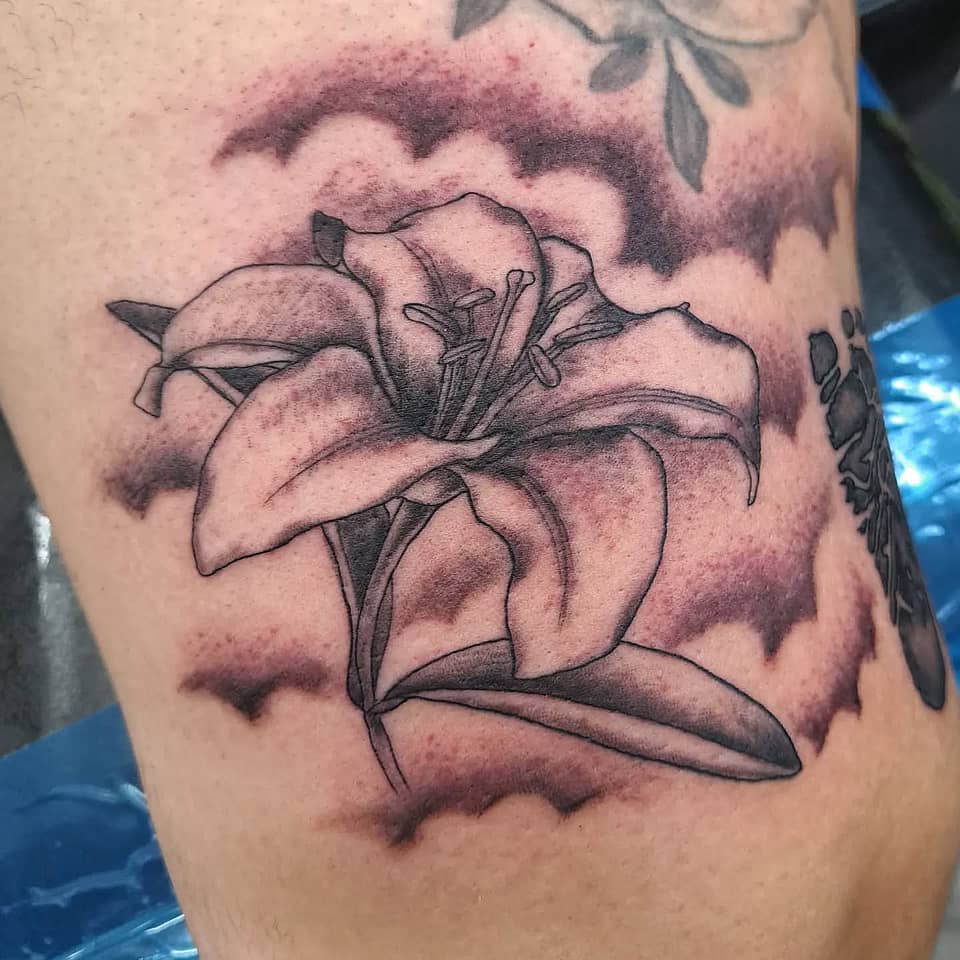 Shadowed Lily Bloom