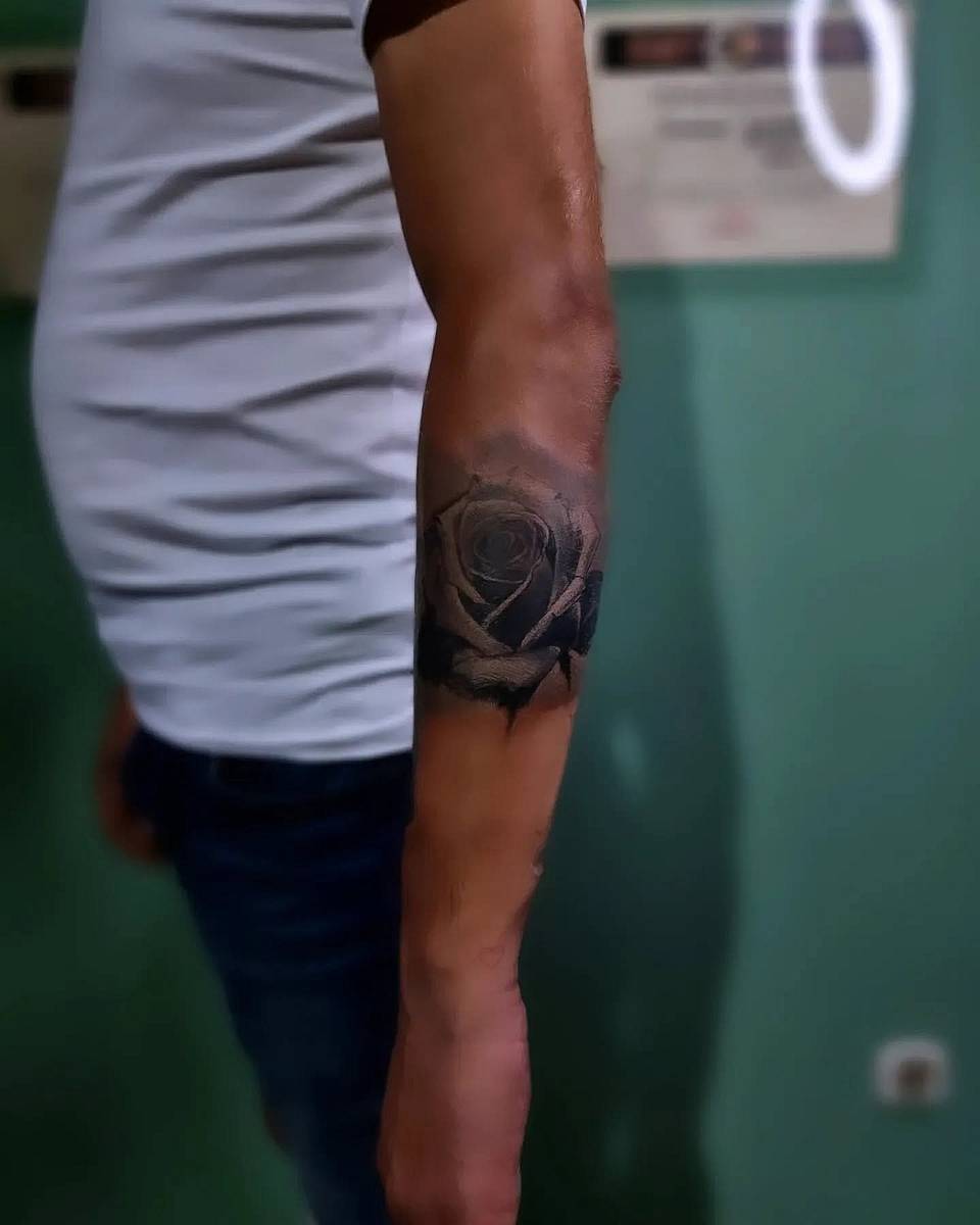Shadowed Rose Bloom