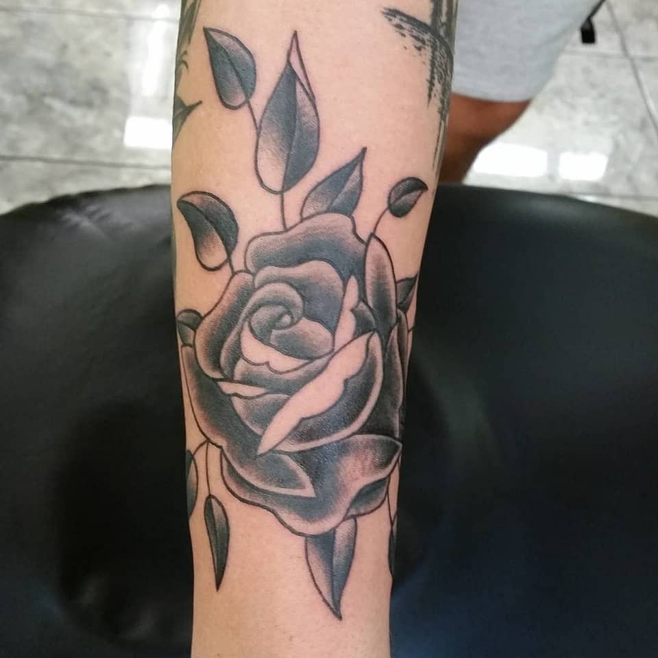 Shadowed Rose Bloom