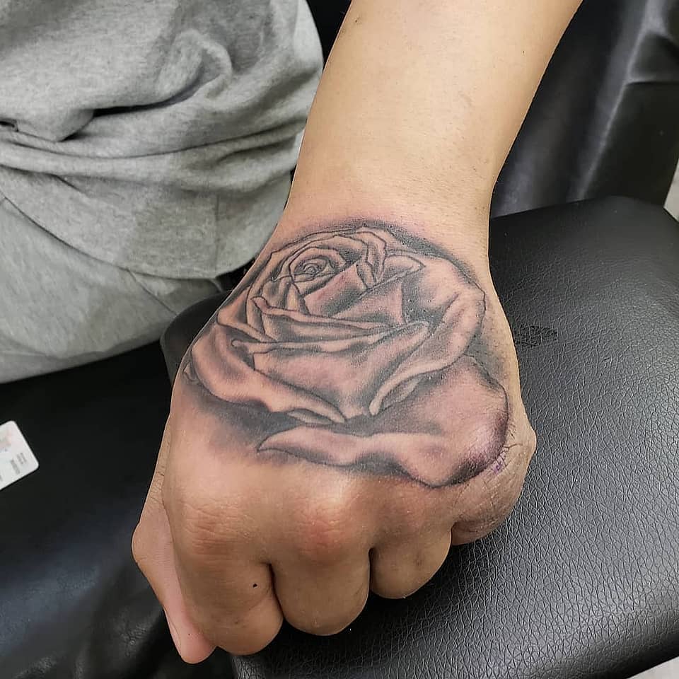 Shadowed Rose Bloom