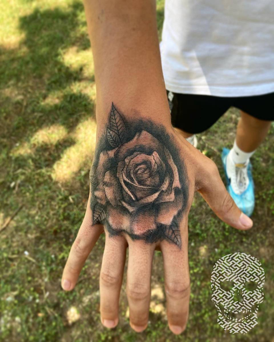 Shadowed Rose Bloom