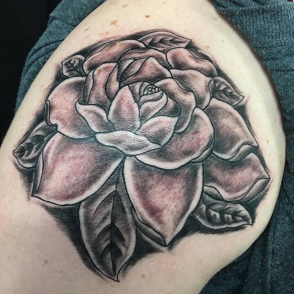 Shadowed Rose Bloom