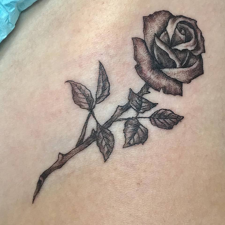 Shadowed Rose Sprig