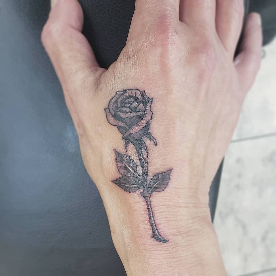 Shadowed Single-Stem Rose