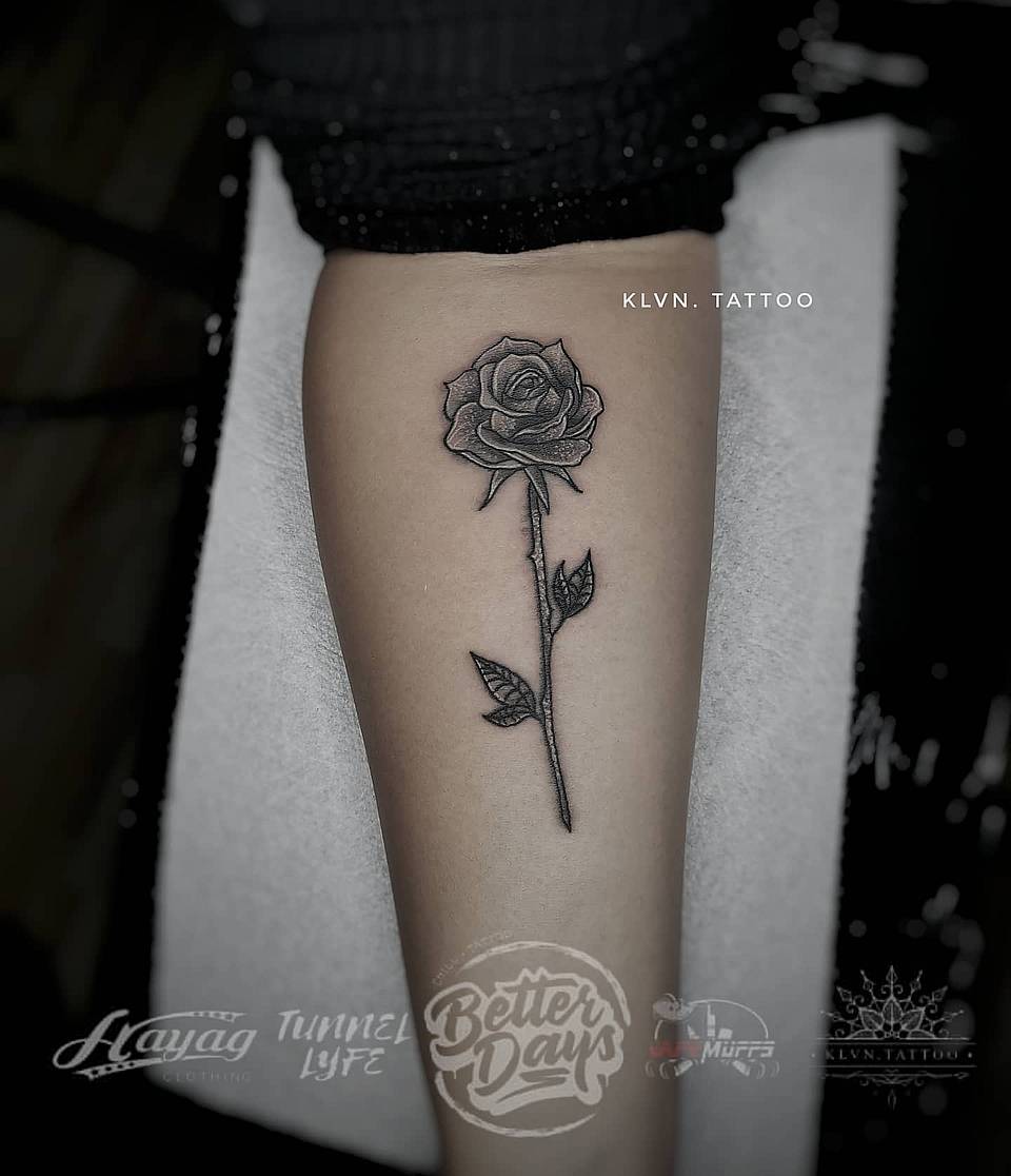 Single Stem Rose