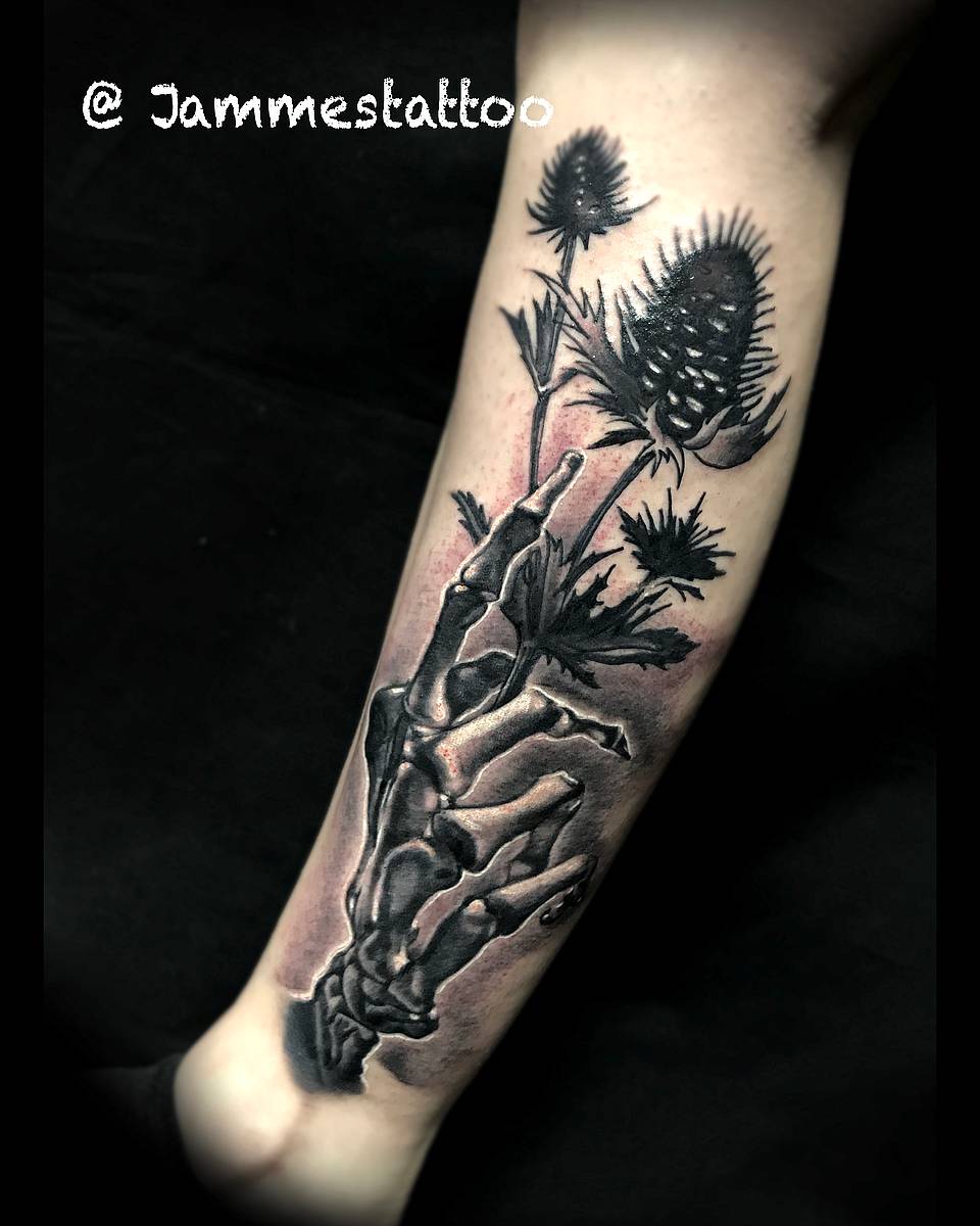 Skeletal Hand and Teasel