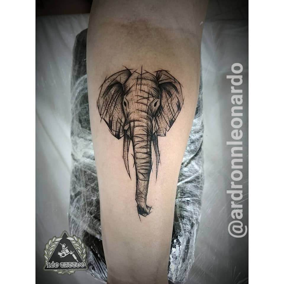Sketch Elephant Head