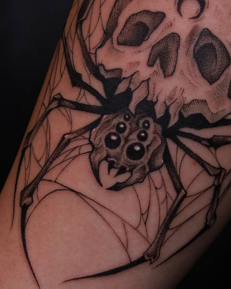 Skull and Spider