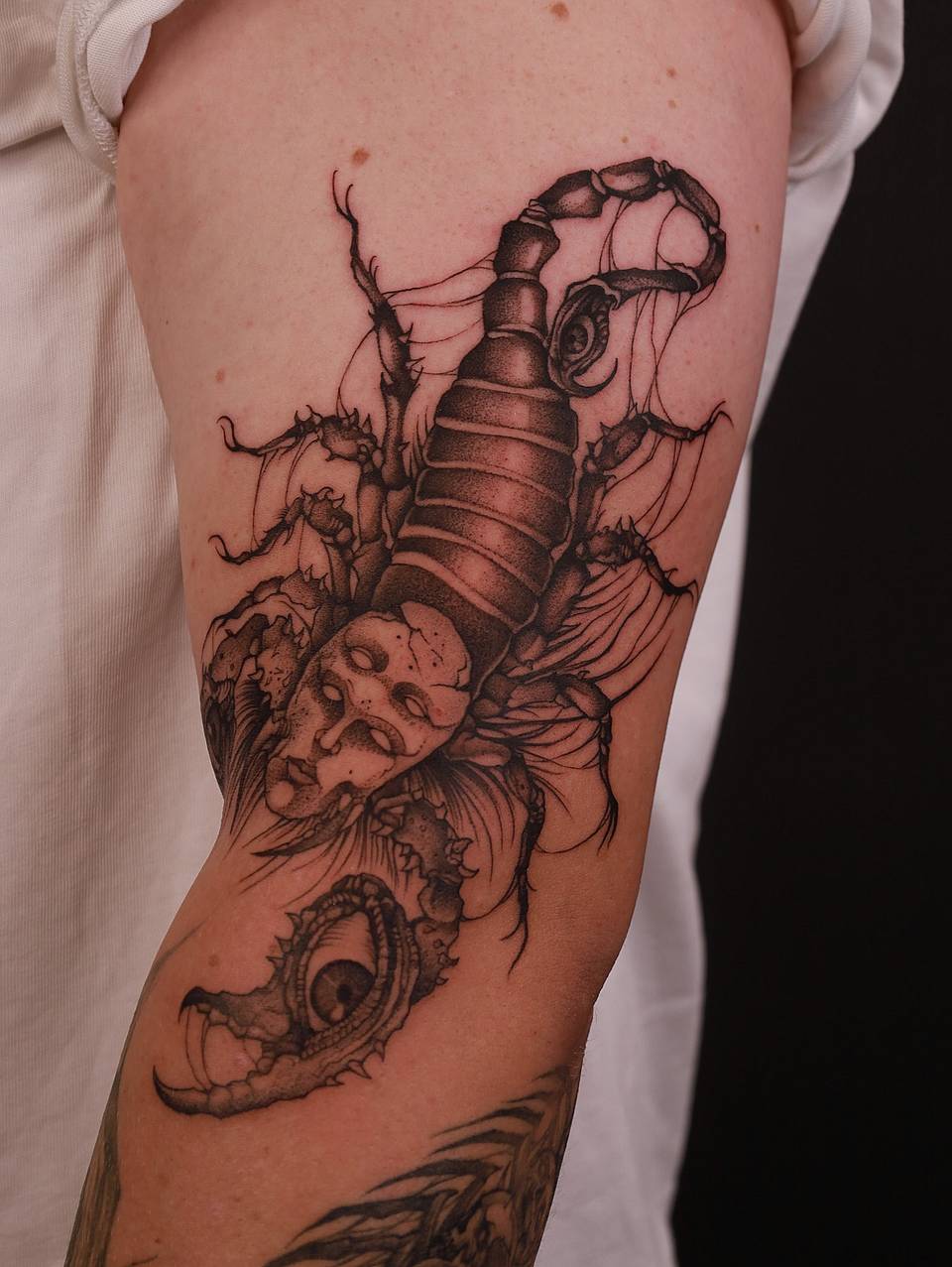 Skull-Faced Scorpion
