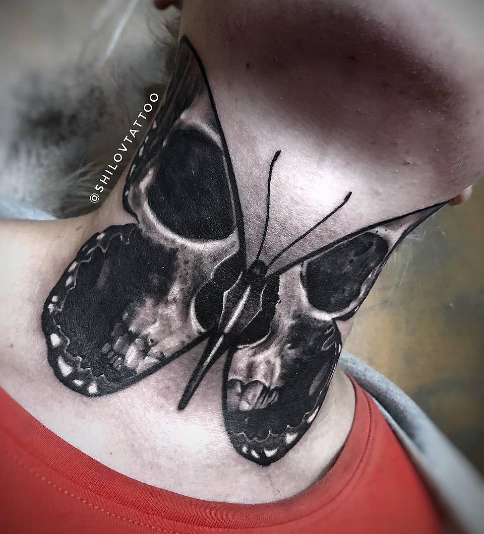 Skullwing Butterfly