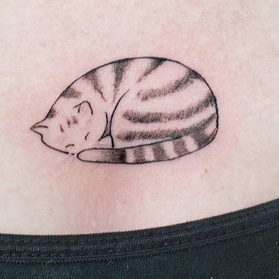 Sleeping Tabby
