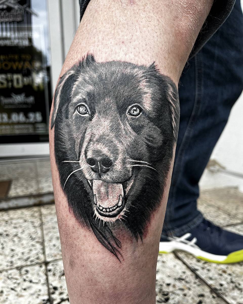 Smiling Black Dog Portrait