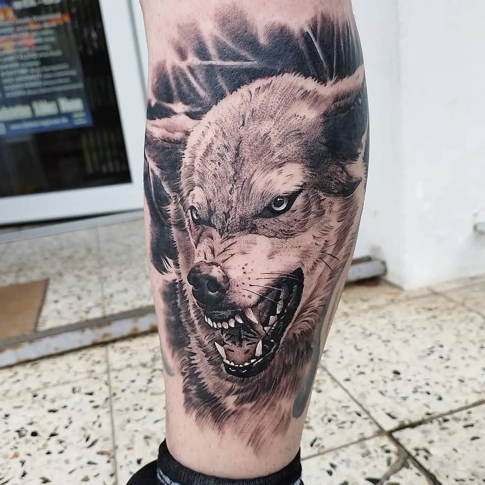 Snarling Wolf Portrait