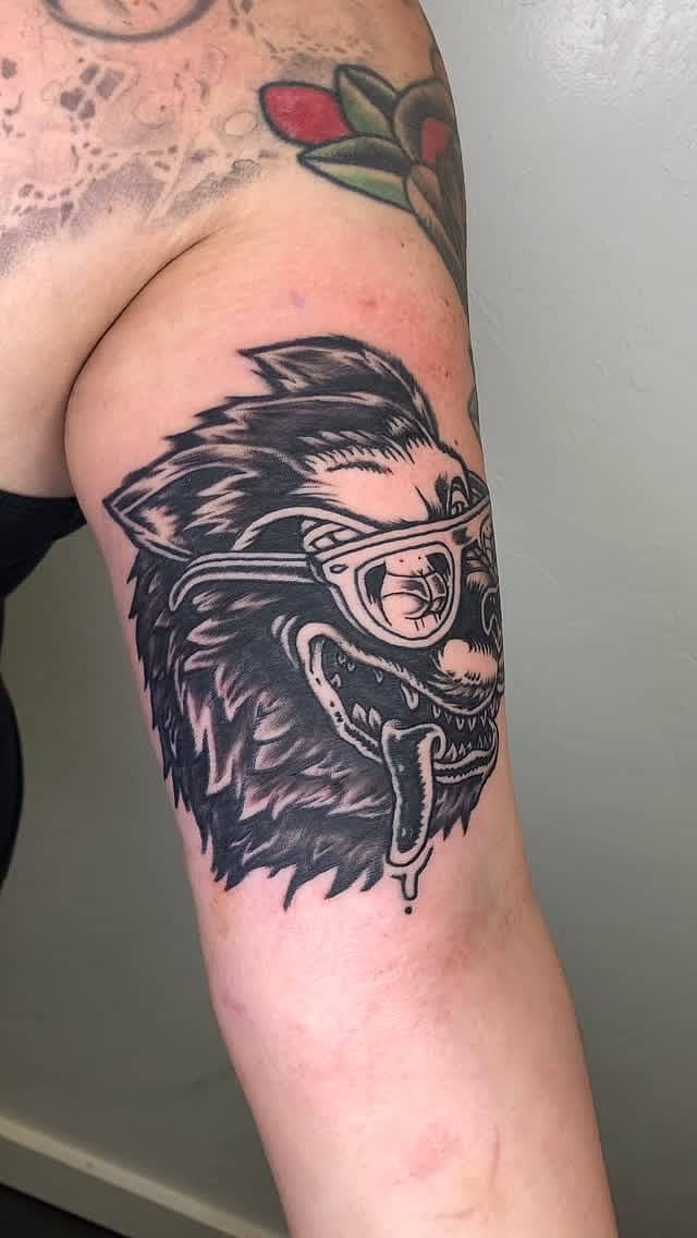 Snarling Wolf with Glasses