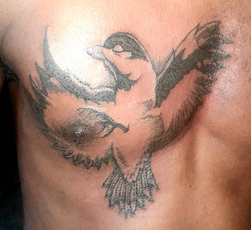 Soaring Bird of Freedom