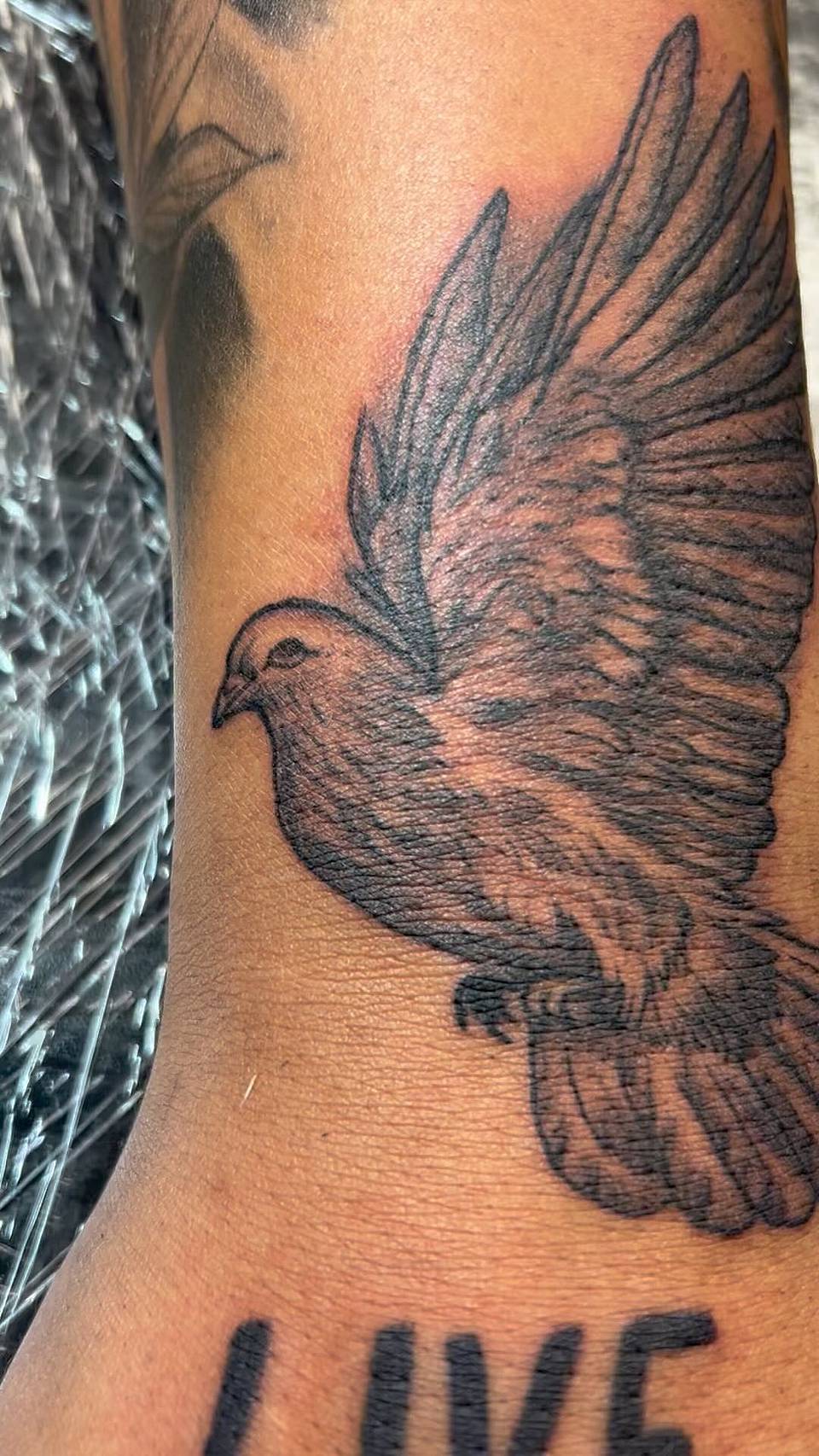 Soaring Dove of Peace