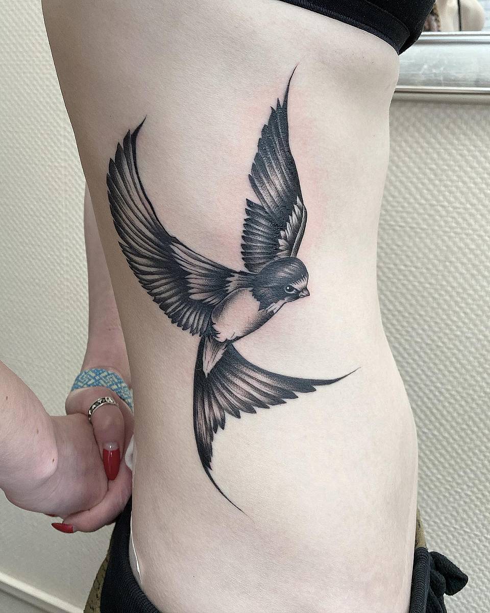Soaring Swallow