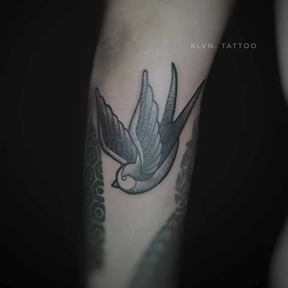 Soaring Swallow