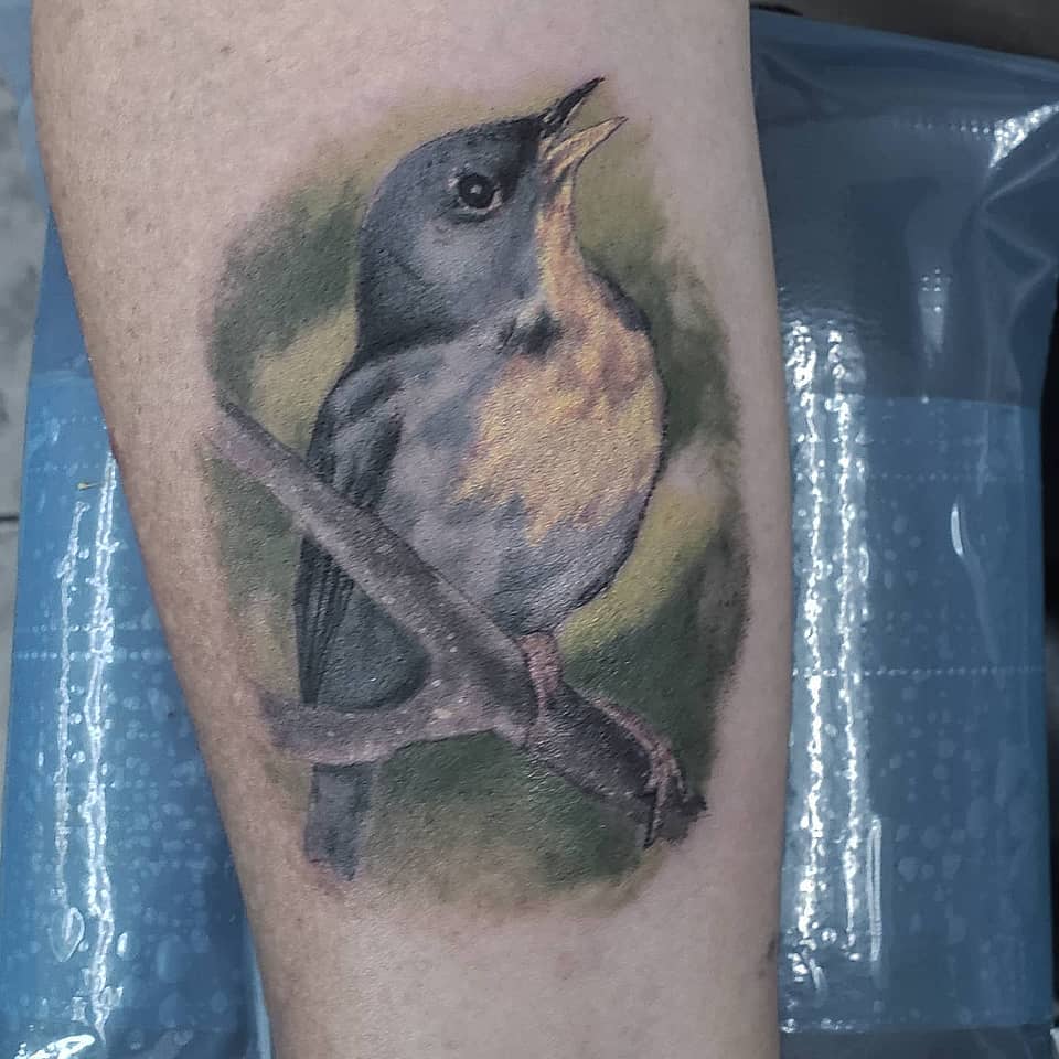 Songbird on a Branch