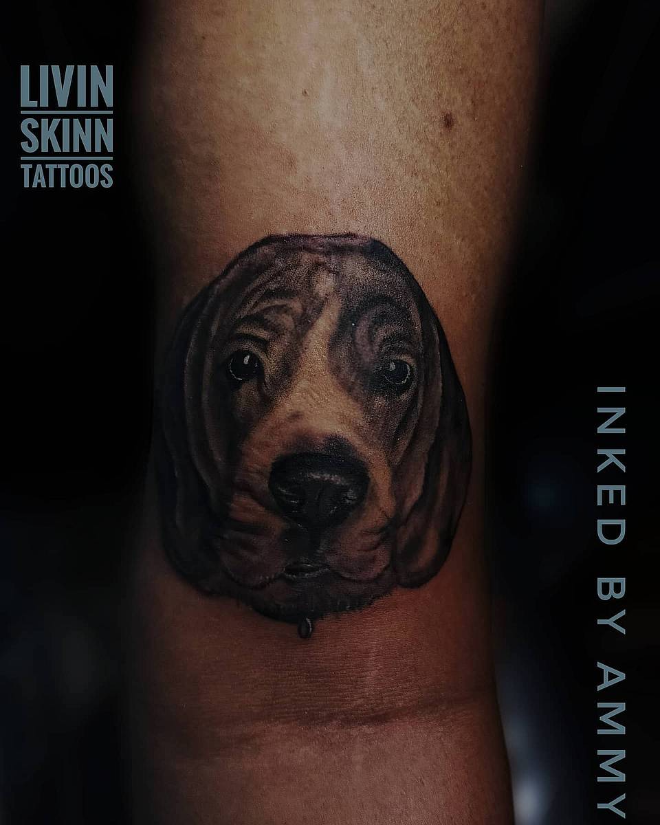Soulful Hound Portrait