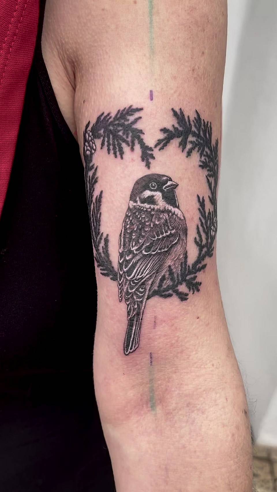 Sparrow in Pine Wreath