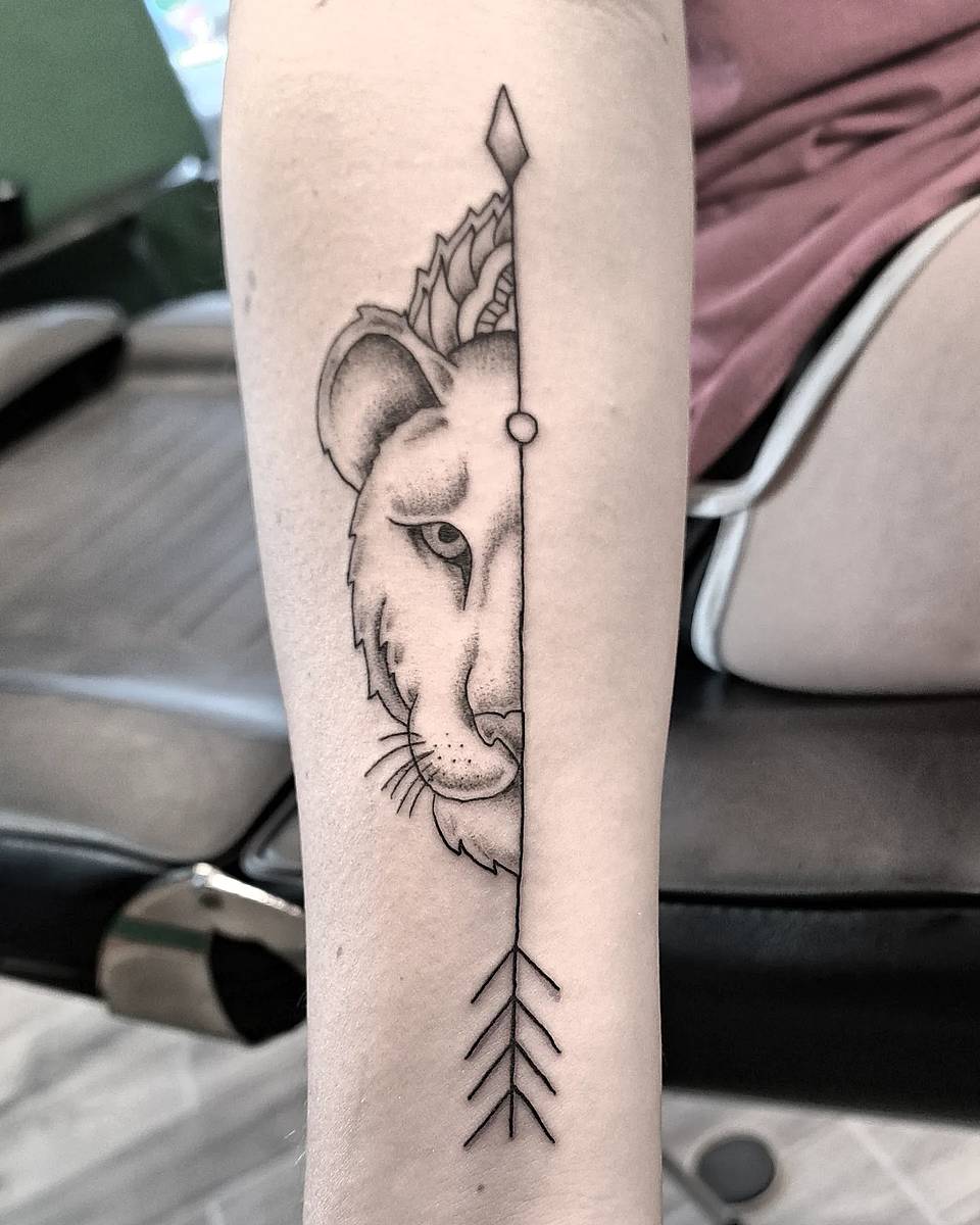 Split Lion and Arrow