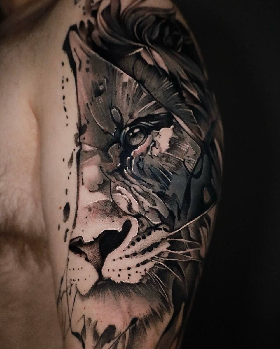 Split Lion Portrait