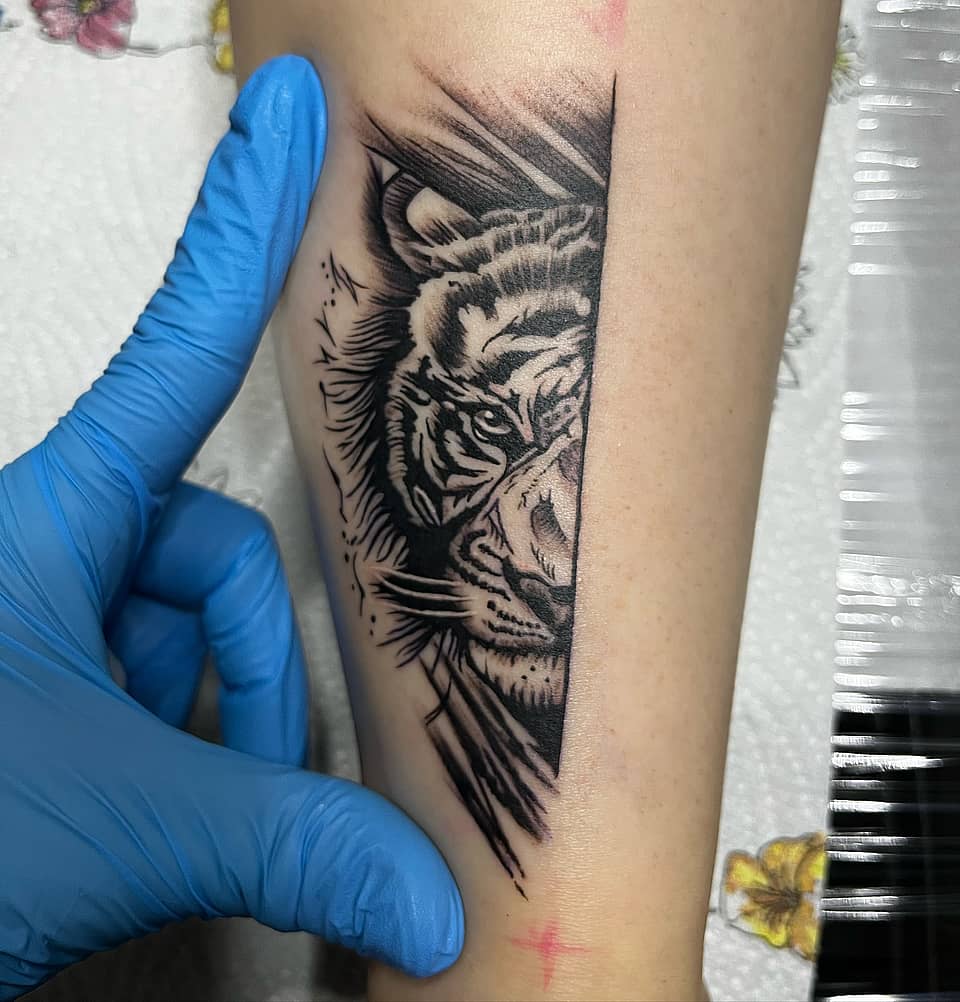 Split-Panel Tiger Portrait