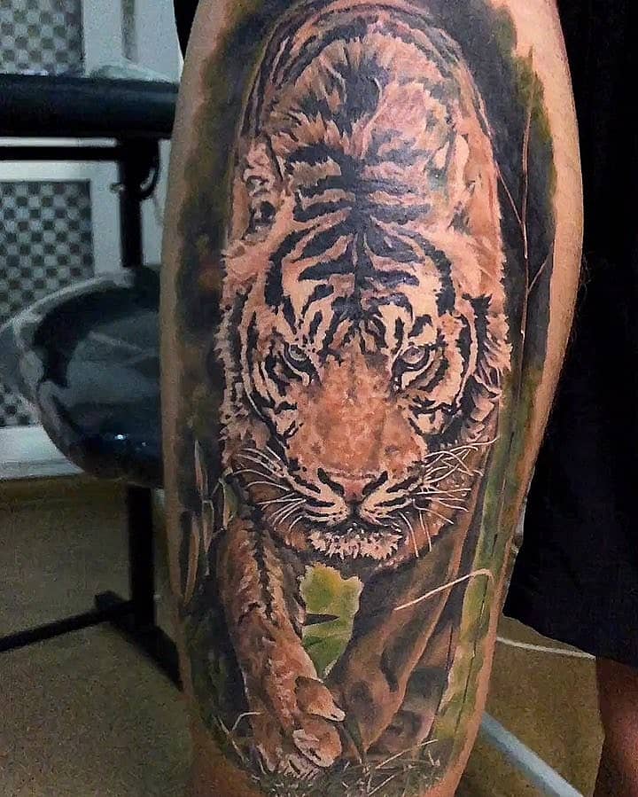 Stalking Tiger in the Brush