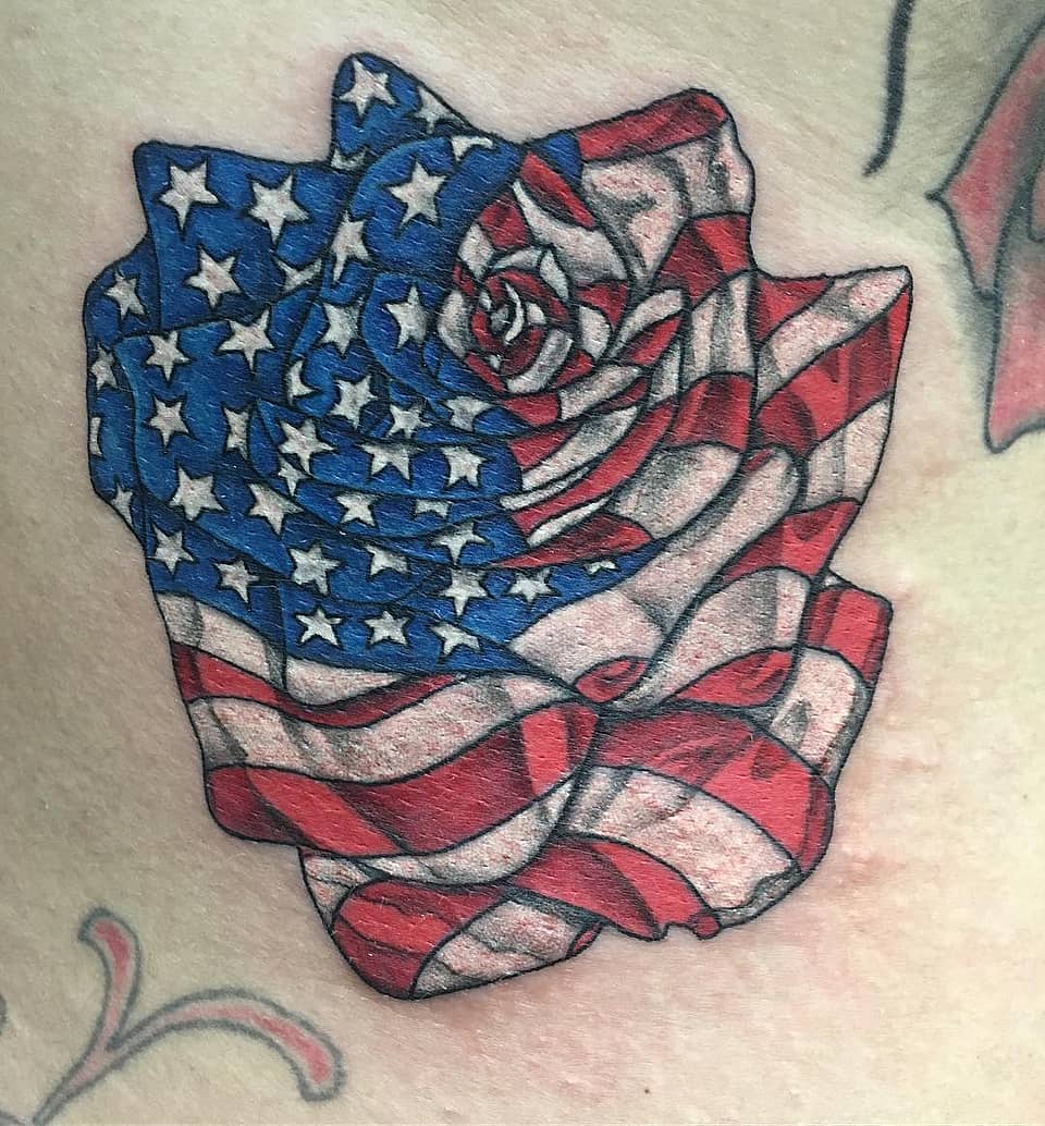 Stars and Stripes Rose