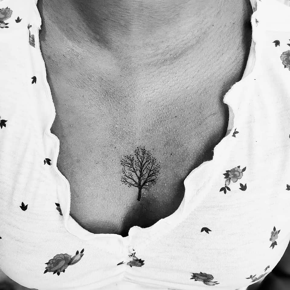 Sternum Sapling