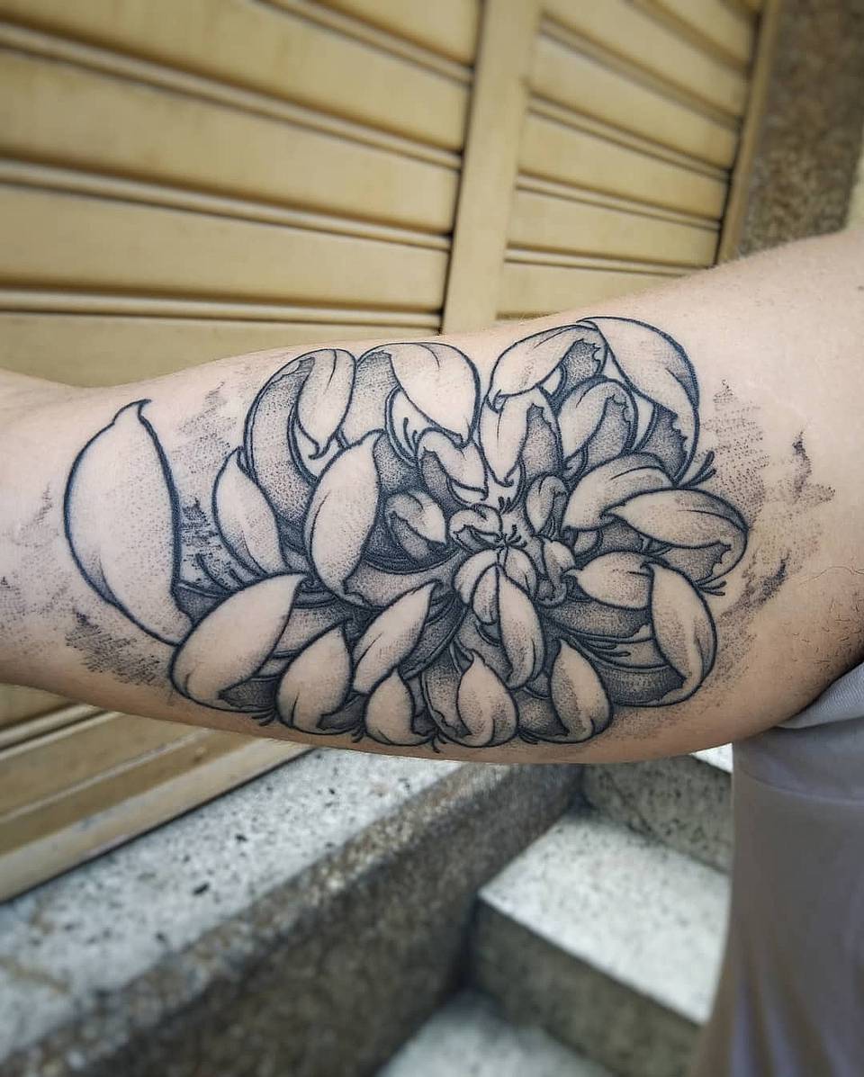 Stipple Chrysanthemum Bloom